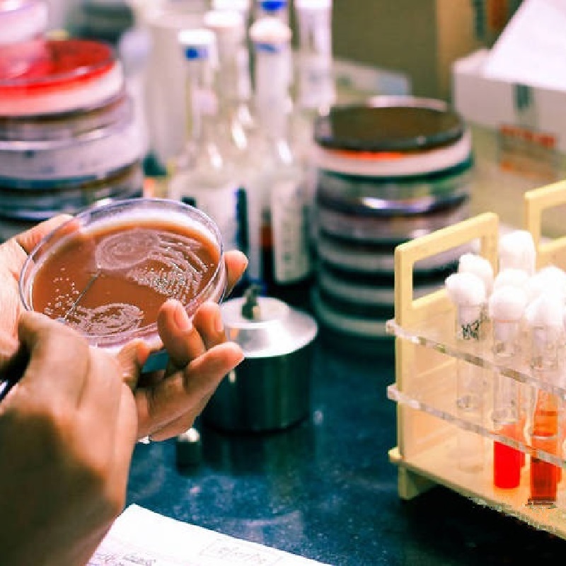 醫(yī)療器械微生物實(shí)驗(yàn)室裝修需要注意什么？